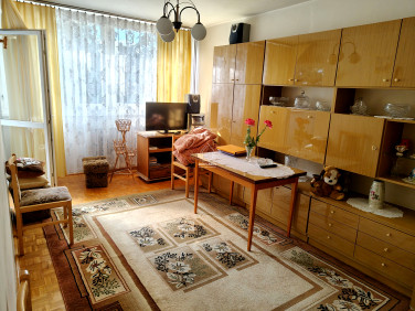 Mieszkanie Gryfów Śląski