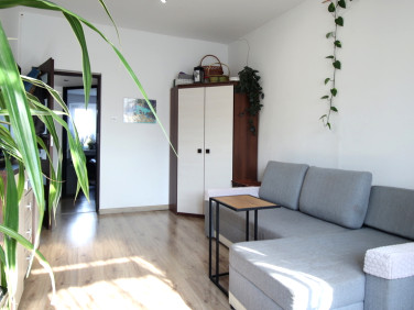 Mieszkanie Mysłowice sprzedaż