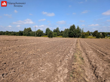Działka usługowa Targowisko
