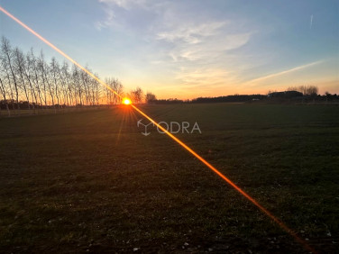 Działka Żłobizna