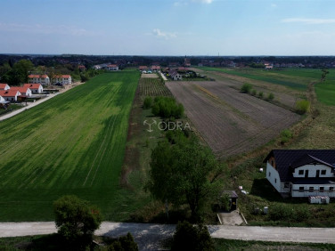 Działka Miłoszyce