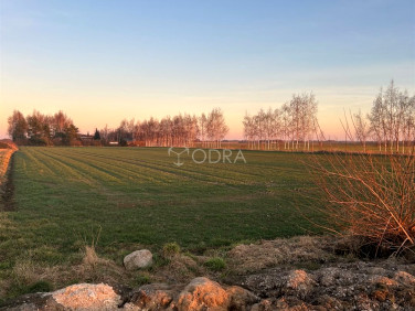 Działka usługowa Żłobizna