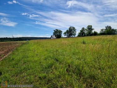 Działka siedliskowa Michałowice