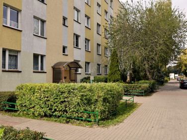 Mieszkanie Toruń