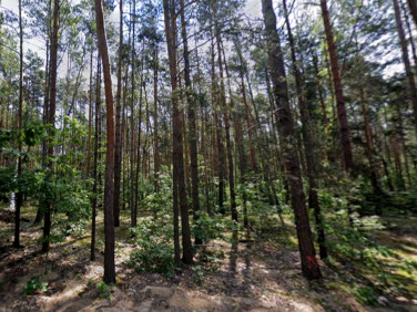 Działka budowlana Sękocin-Las