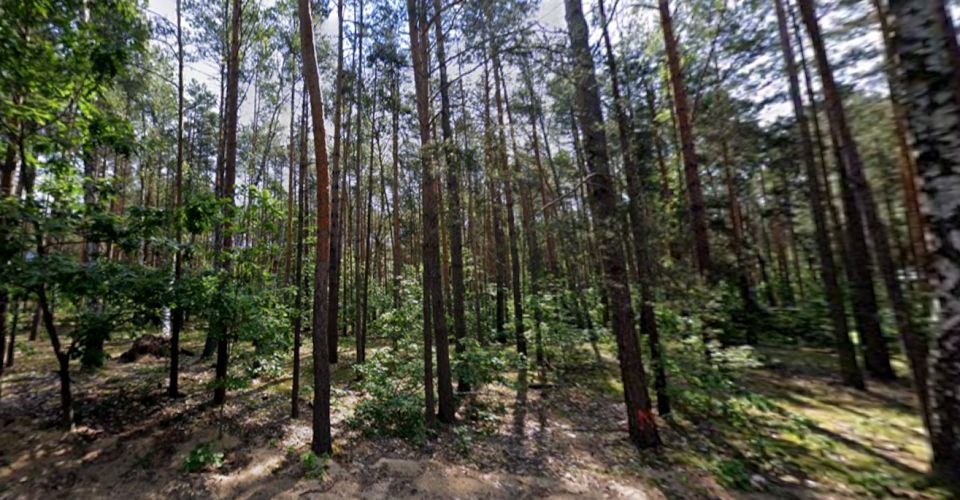 Działka budowlana Sękocin-Las