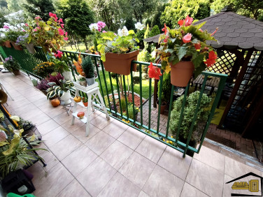 Mieszkanie Chorzów