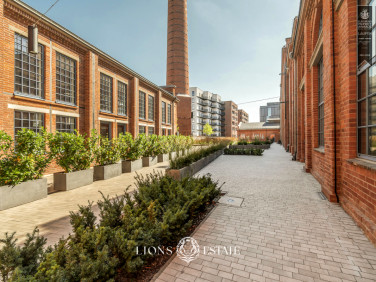 Lokal Warszawa
