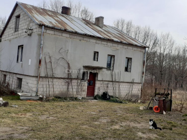 Dom wolnostojący sprzedaż