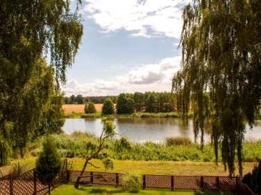 Dom Czerminek sprzedaż