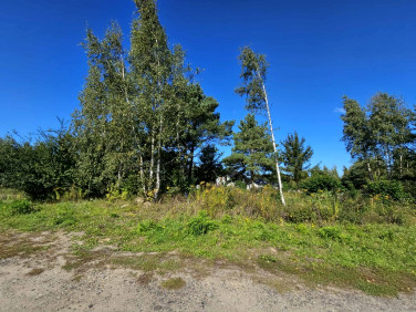 Działka Mieszkowice