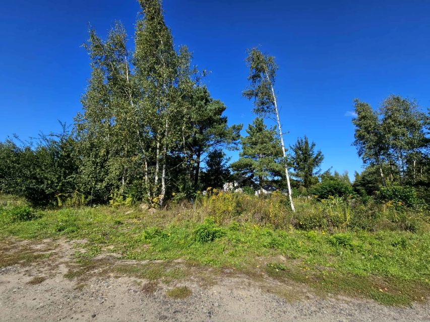 Działka Mieszkowice