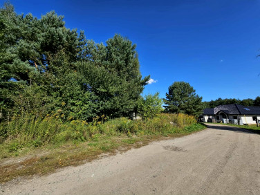 Działka budowlana Mieszkowice sprzedam