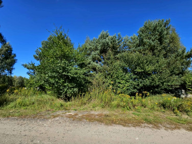 Działka Mieszkowice