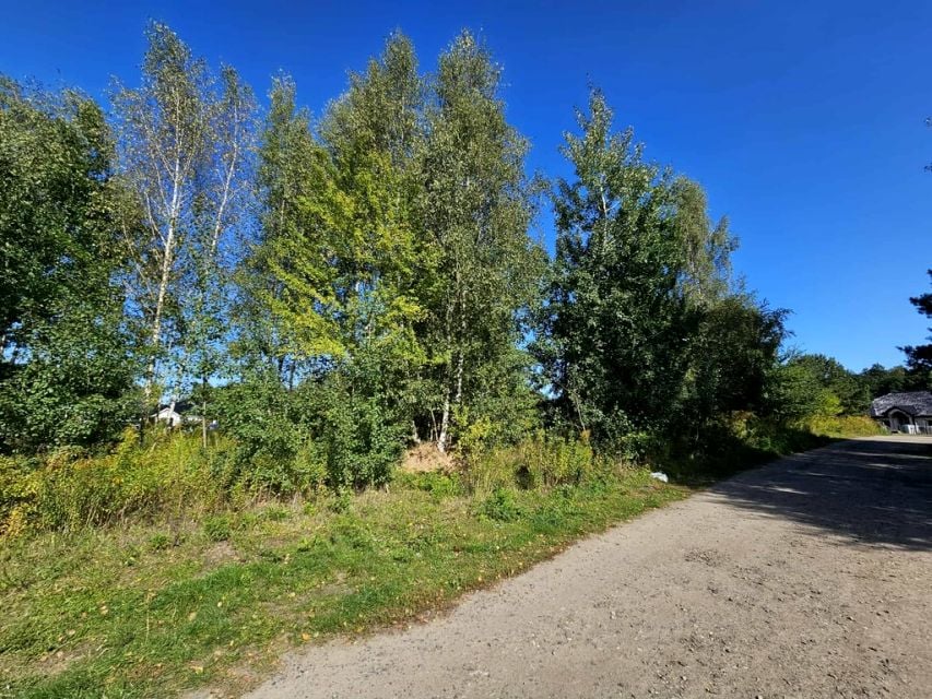 Działka Mieszkowice