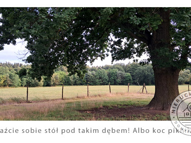 Działka budowlano-rolna Piaski Duchowne sprzedam
