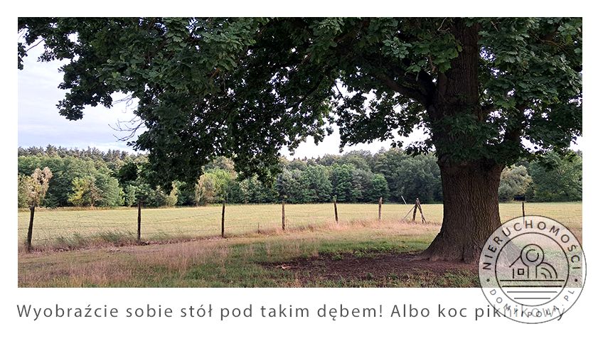 Działka budowlano-rolna Piaski Duchowne sprzedam