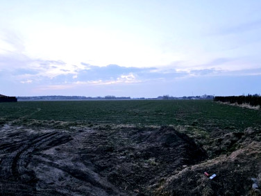 Działka budowlana Gałów