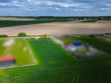 Działka budowlana Minkowice Oławskie