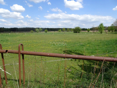 Działka Jelcz-Laskowice