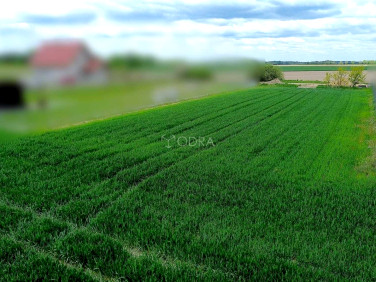 Działka budowlana Jelcz-Laskowice