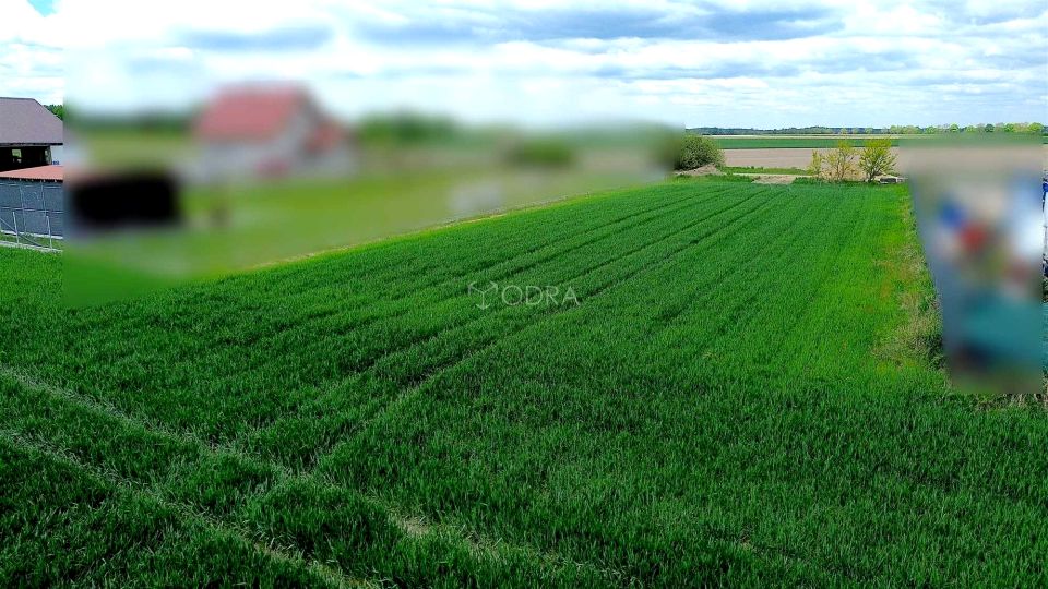 Działka budowlana Jelcz-Laskowice