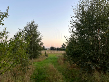 Działka Żukowo