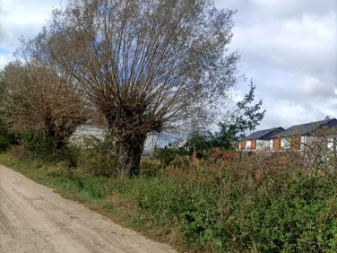 Działka budowlana Napachanie