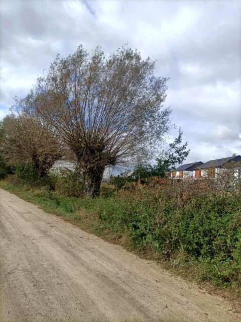 Działka budowlana Napachanie