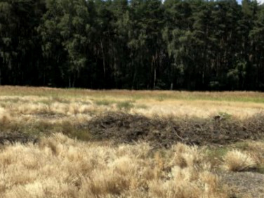 Działka budowlana Kijowice