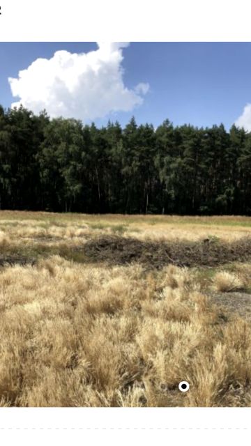 Działka budowlana Kijowice