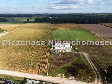 Działka budowlana Kruszyn sprzedam
