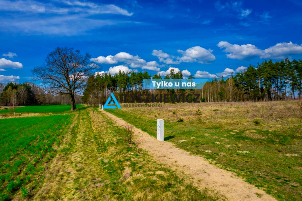 Działka rolna Łąg-Kolonia