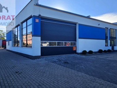 Lokal Elbląg