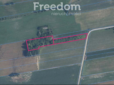 Działka siedliskowa Wólka Łózecka sprzedam