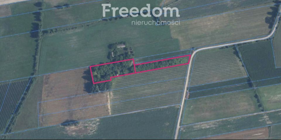 Działka siedliskowa Wólka Łózecka sprzedam