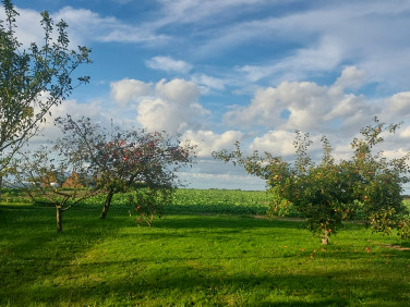 Dom Siedliska sprzedaż