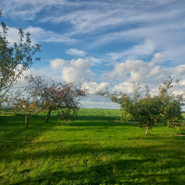 Dom Siedliska sprzedaż