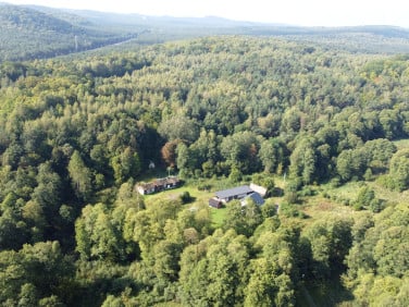 Działka Zdów