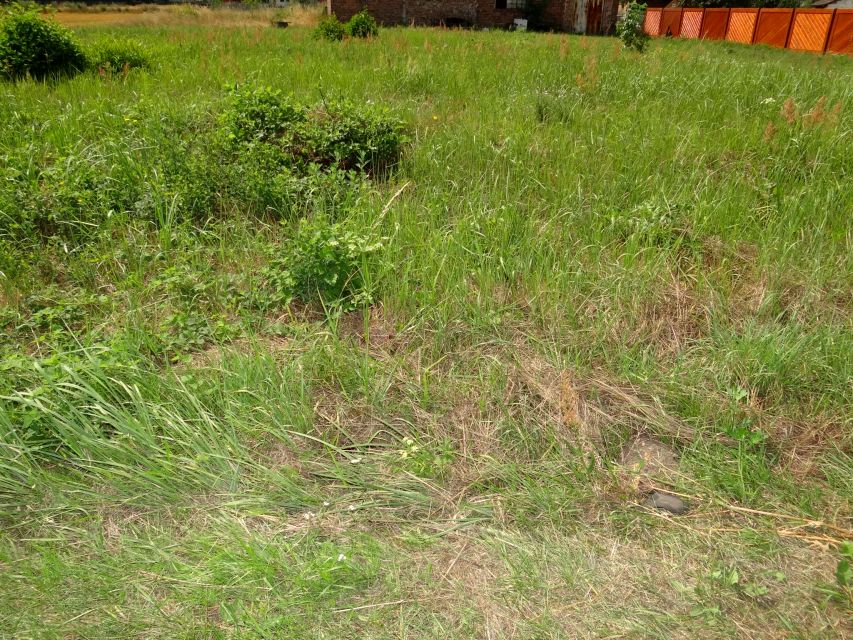 Działka budowlana Falmirowice sprzedam