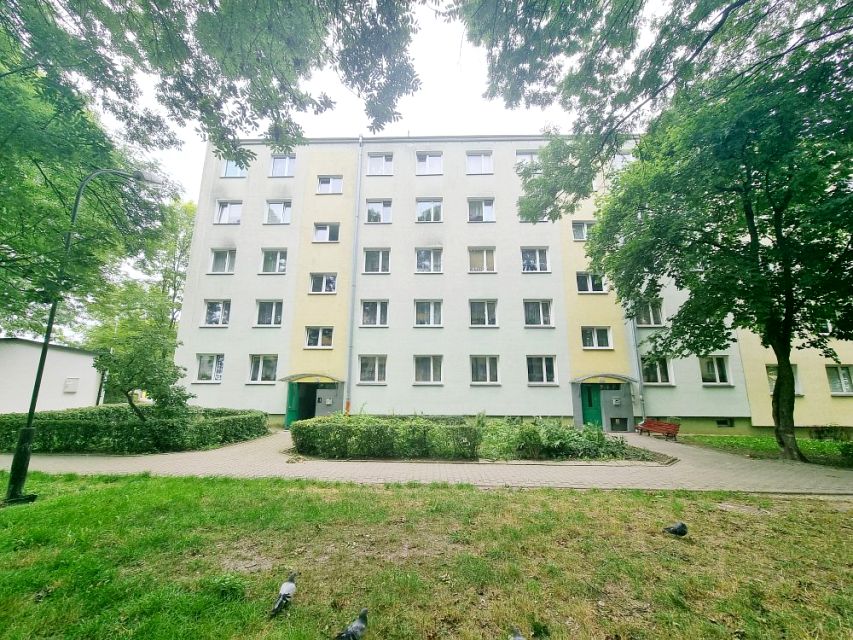Mieszkanie Chełm sprzedaż