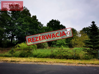 Działka budowlana Jędrzychów sprzedam