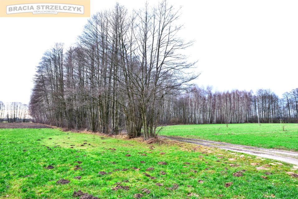 Działka siedliskowa stare zambski