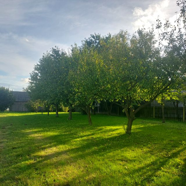 Dom Siedliska