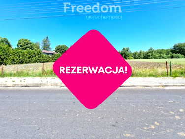 Działka Gnojno