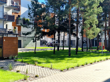 Mieszkanie Toruń