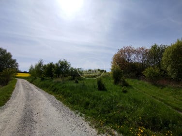 Działka budowlana Trzebnica