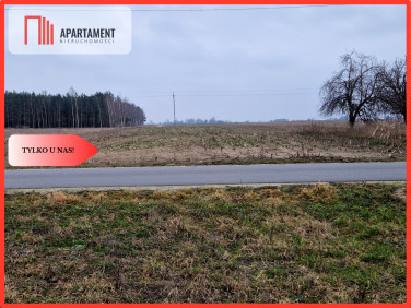 Działka Rogowo