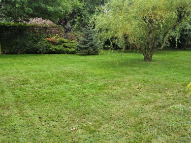 Zabudowana działka Zbrosławice