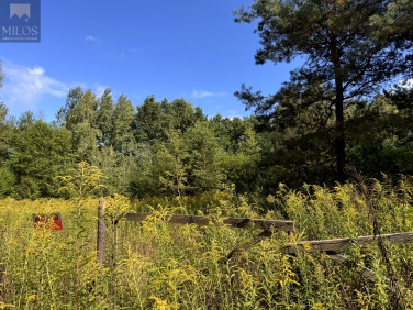 Działka budowlana Wołomin